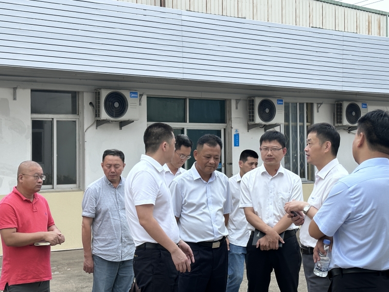 qmh球盟会